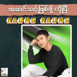 Kaung Kaung的专辑A Sin Thint Phyit Phoe Lo Pyi