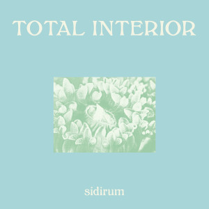SidiRum的專輯Total Interior