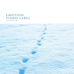 Album The New Age Piano from Various