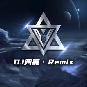 Listen to 我好像在哪里见过你 (cover: 心静的大守) (完整版) song with lyrics from DJ嘉公子