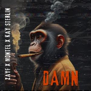 Zayf的專輯Damn (feat. Kay Sterlin) (Explicit)