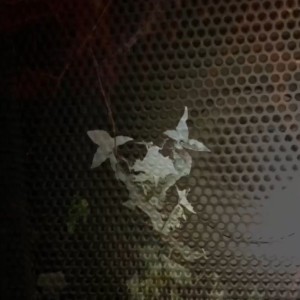 Listen to Wait song with lyrics from RODAN