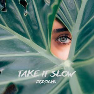 Album Take It Slow from Dizolve