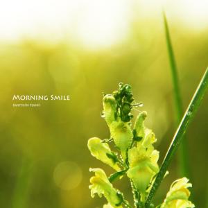 Morning Smile