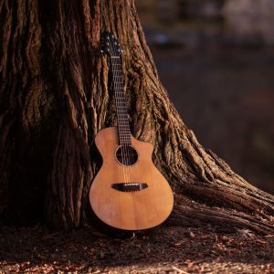 Dengarkan The Man Who Loves You the Most (Instrumental) lagu dari Harold Jessmayer dengan lirik