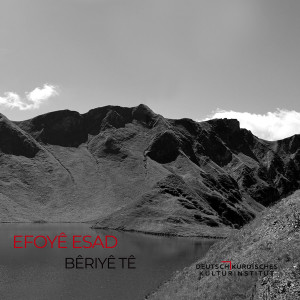 Listen to Zerîyê song with lyrics from EFOYÊ ESAD
