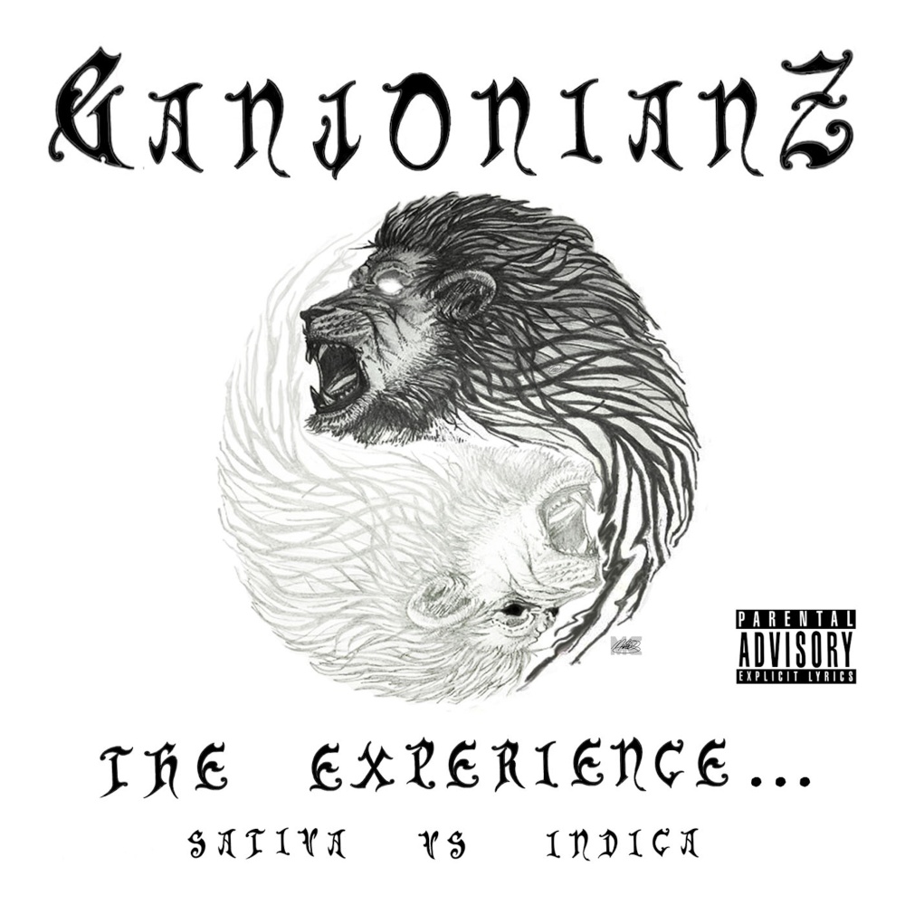 VII-II-XXIV (The Experience) [feat. DY-VRZ & Respect Tha God] (Explicit)