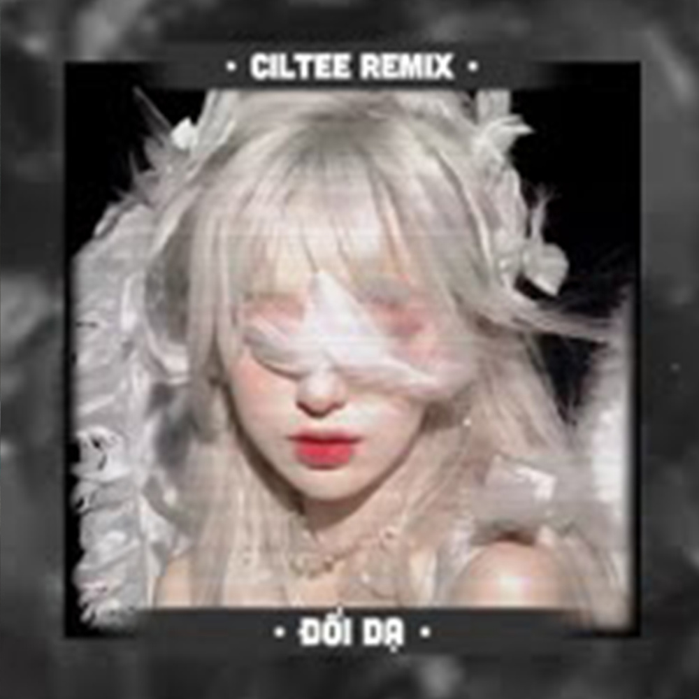 Đổi Dạ (Remix)