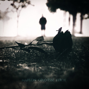 Album Amo' (Explicit) from Marlon