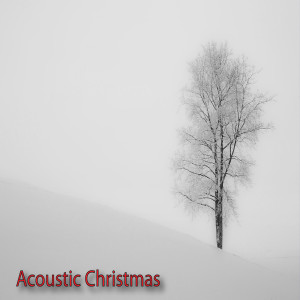 Acoustic Christmas Music Mandolin Christmas的專輯Acoustic Christmas Music Mandolin Christmas Relaxing Christmas