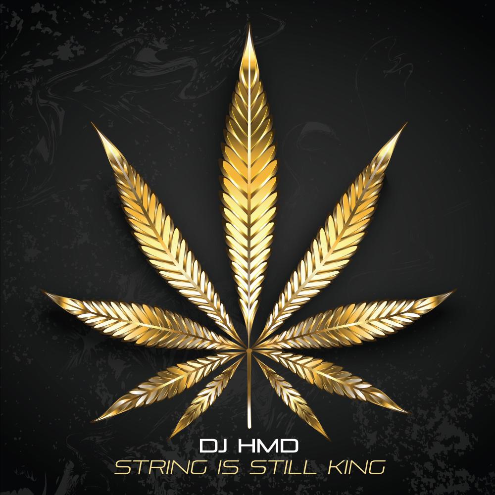 String is Still King (feat. Manjit Pappu & BattleKATT) (Radio Edit)