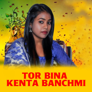 收聽Krish Kumar的Tor Bina Kenta Banchmi歌詞歌曲