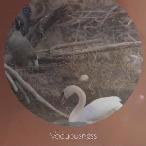 Various的专辑Vacuousness