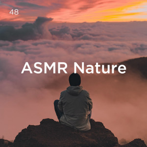 ดาวน์โหลดและฟังเพลง Relaxing Bird Song Music พร้อมเนื้อเพลงจาก Deep Sleep