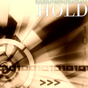 收聽FunkMonkeysOfMaryland的Hold歌詞歌曲