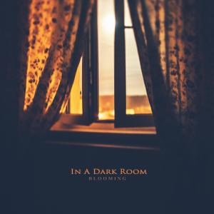 Album In A Dark Room oleh Blooming