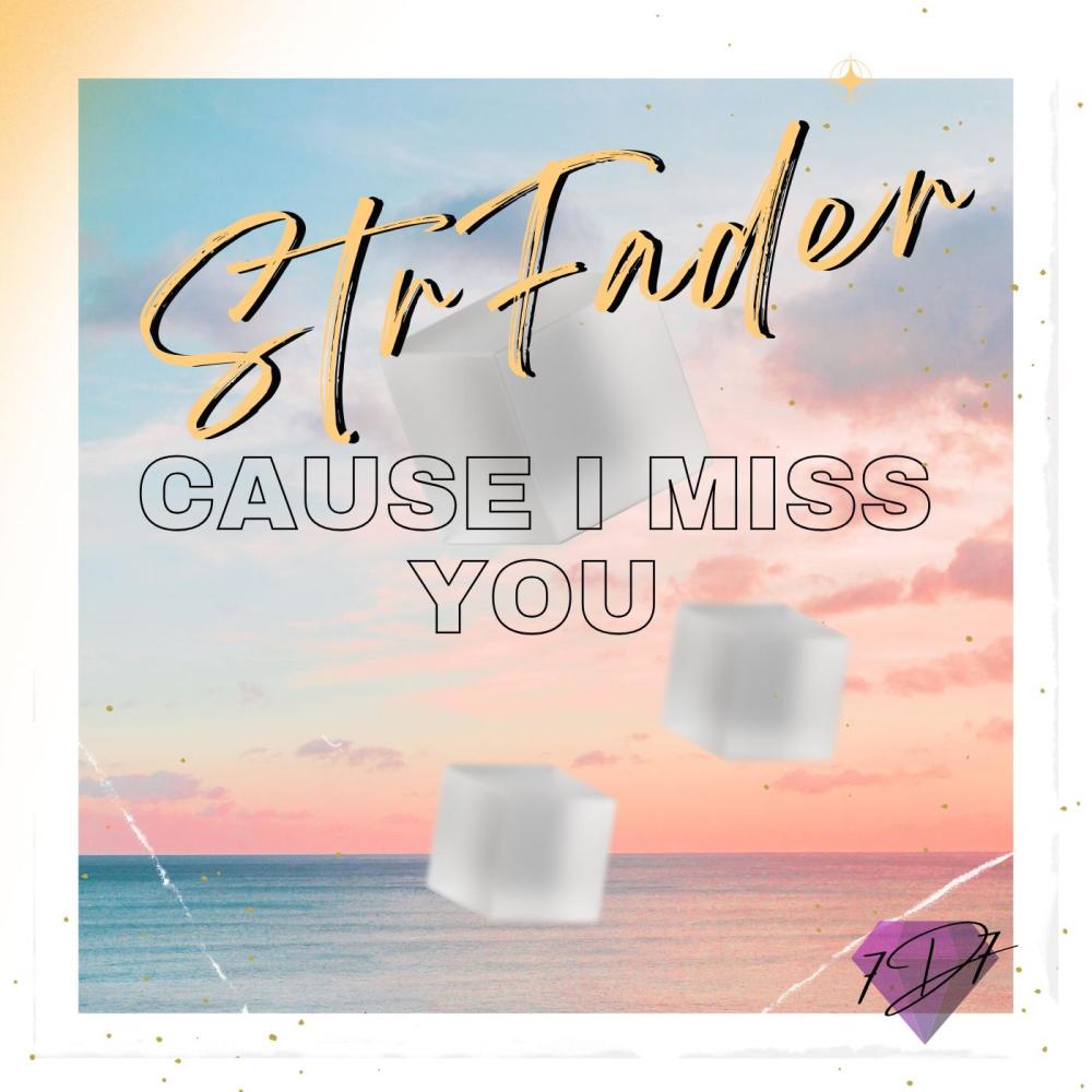 Cause I miss you (Special Version)