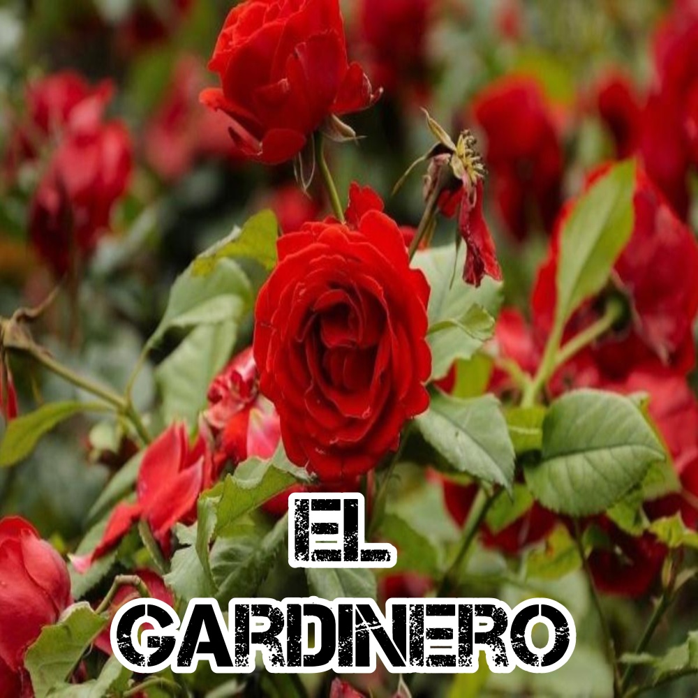 La colora