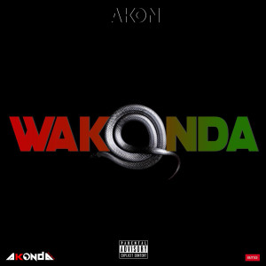 ดาวน์โหลดและฟังเพลง Wakonda (Explicit) พร้อมเนื้อเพลงจาก Akon