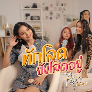 ดาวน์โหลดและฟังเพลง ทักโลด ยังโสดอยู่ พร้อมเนื้อเพลงจาก ไข่มุก เพ็ญสินี