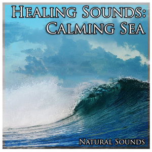 收聽Natural Sounds的Healing Sounds: Calming Sea歌詞歌曲