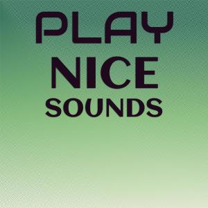 Various的专辑Play Nice Sounds