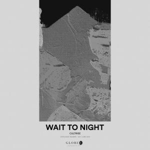 Cultrise的專輯Wait To Night