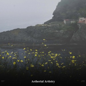 Album !!!!" Aetherial Artistry "!!!! from White Noise Therapy