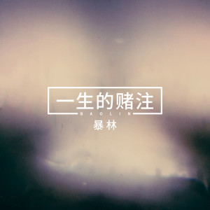 ดาวน์โหลดและฟังเพลง 一生的赌注 (DJ版) พร้อมเนื้อเพลงจาก 暴林