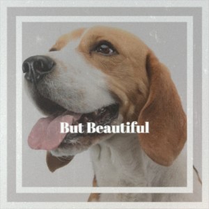 ดาวน์โหลดและฟังเพลง But Beautiful พร้อมเนื้อเพลงจาก Frank Sinatra