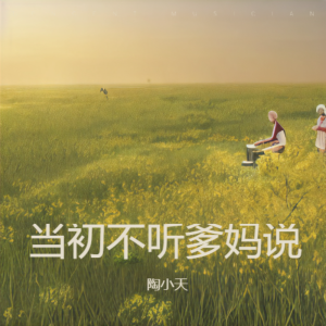 Listen to 当初不听爹妈说【剪辑版】 (完整版) song with lyrics from 陶小天