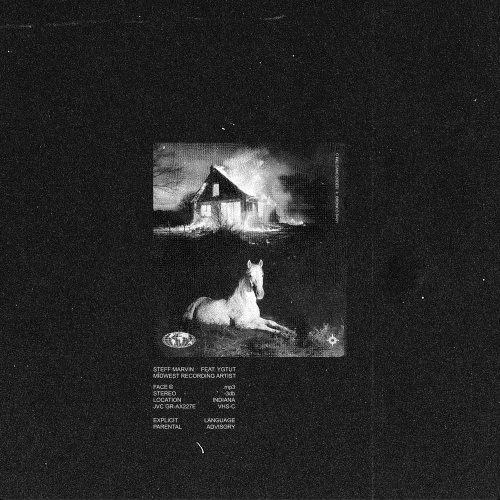 Face (feat. YGTUT) (Explicit)