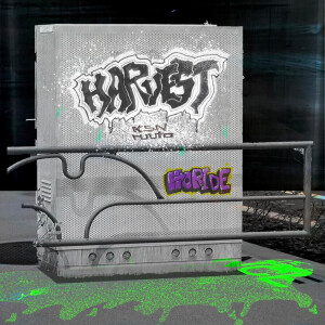 Listen to HARVEST (feat. ruuto) (Explicit) song with lyrics from K.S.N