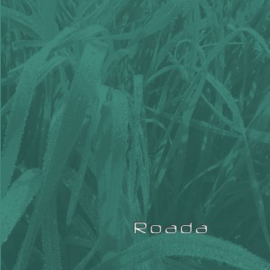 Roada的專輯Roada