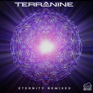 Listen to New Vibration (Tripswitch Remix) song with lyrics from Terra Nine