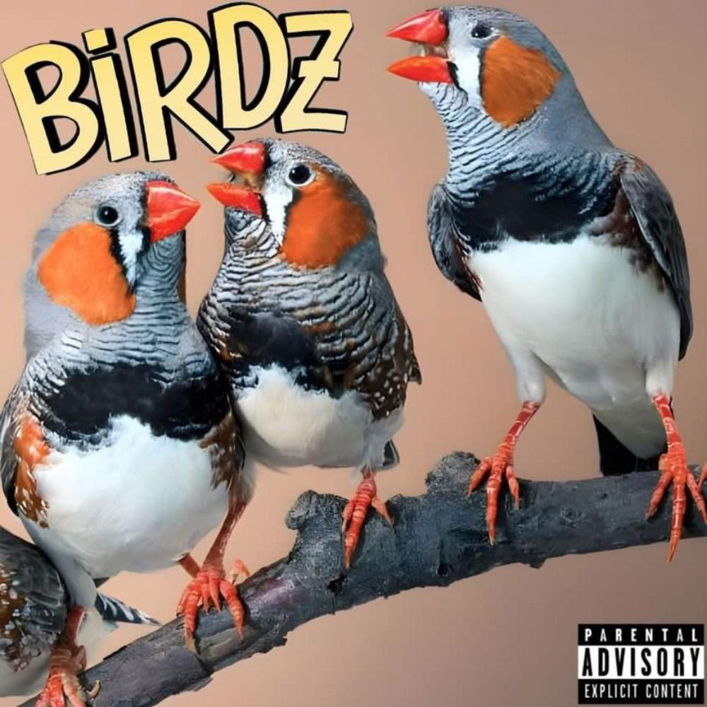 Birdy Smallz (Explicit)