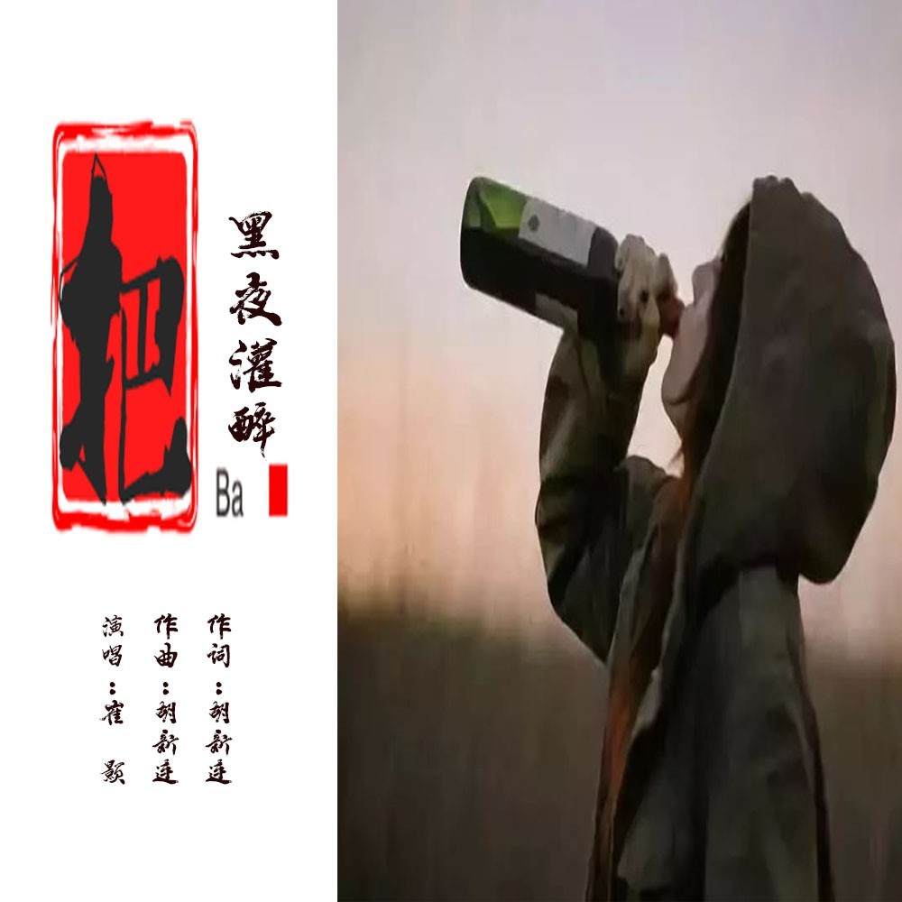 把黑夜灌醉（DJ版） (完整版)