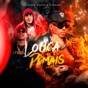ดาวน์โหลดและฟังเพลง Louca Demais (Explicit) พร้อมเนื้อเพลงจาก Dj Zigão Da Brasília