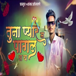 Listen to Tuna Pyarma Pagal Sa Ya song with lyrics from Dipak More