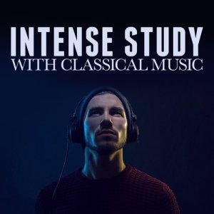 ดาวน์โหลดและฟังเพลง Concerto for Two Violins, Strings and Continuo in D Minor, BWV 1043: II. Largo ma non tanto พร้อมเนื้อเพลงจาก Northern String Quartet