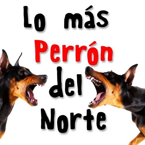 Vivir de Noche