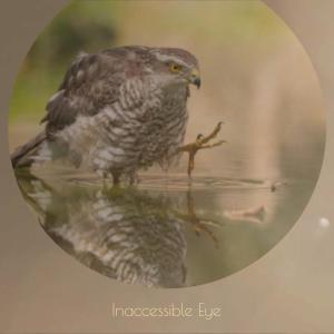 Album Inaccessible Eye from 