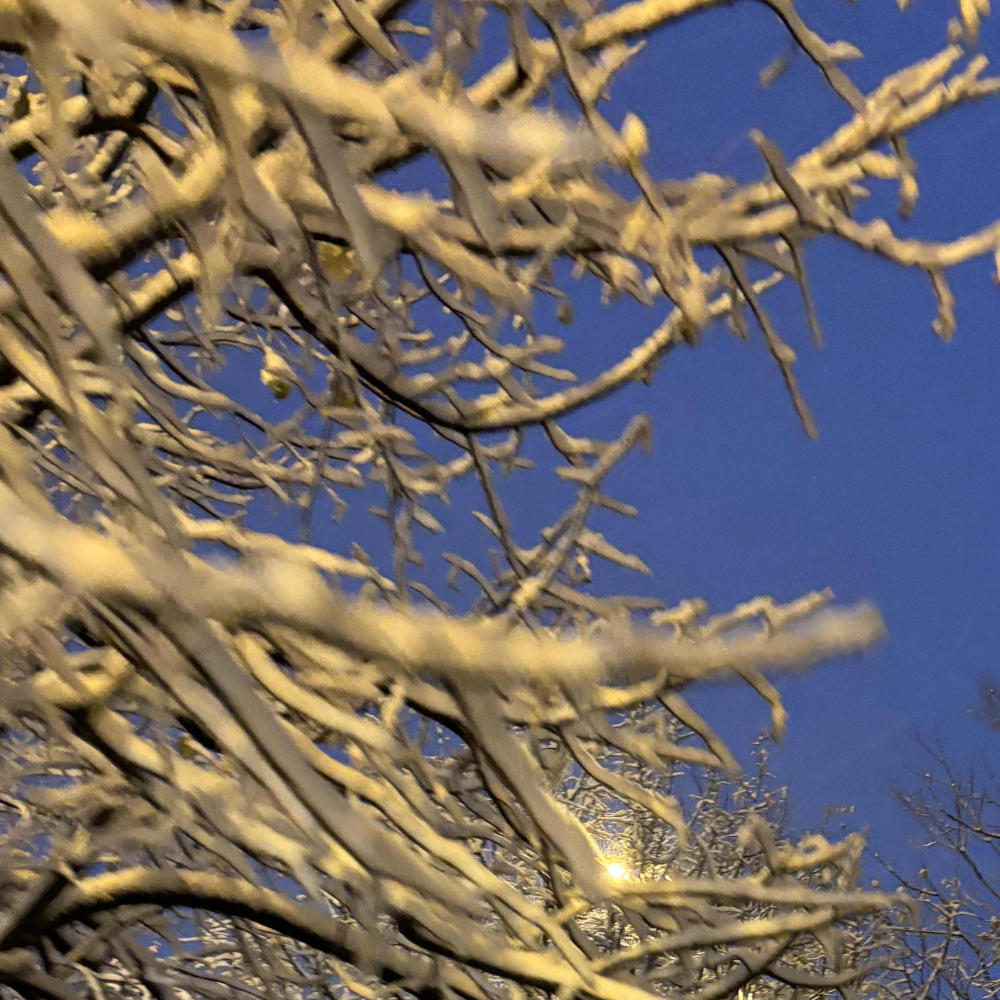 winter