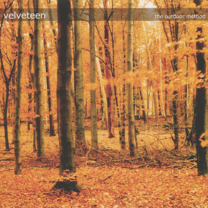Listen to Let Go song with lyrics from Velveteen