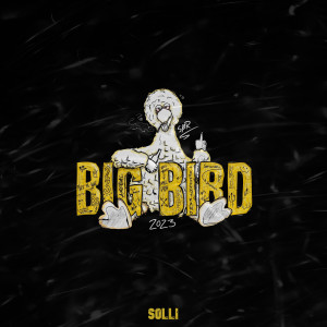 Listen to Big Bird 2023 (Explicit) song with lyrics from Solli