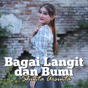 收聽Shinta Arsinta的Bagai Langit Dan Bumi歌詞歌曲