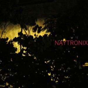 ดาวน์โหลดและฟังเพลง Good Thing พร้อมเนื้อเพลงจาก Naytronix