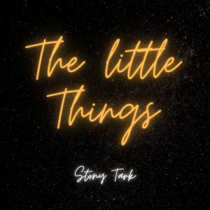 收聽Stony Tark的The Little Things歌詞歌曲