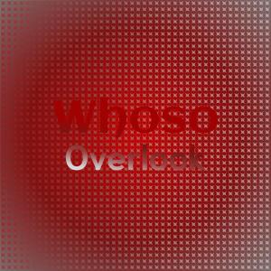 Various Artists的專輯Whoso Overlook