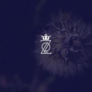 Dengarkan We Are Lo Z lagu dari Lo Z dengan lirik